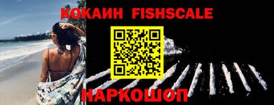 спайс Кингисепп