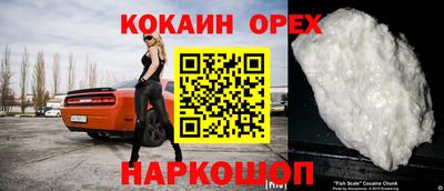 спайс Кингисепп