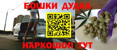спайс Кингисепп