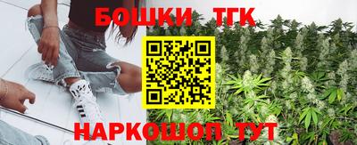спайс Кингисепп