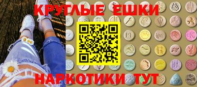 спайс Кингисепп