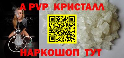 спайс Кингисепп