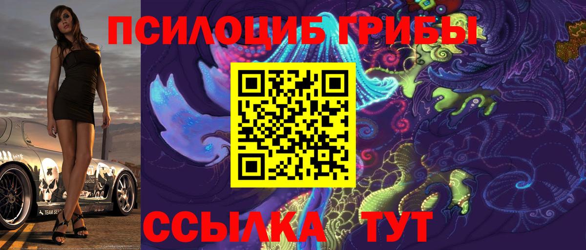 Псилоцибиновые грибы MAGIC MUSHROOMS Курчалой