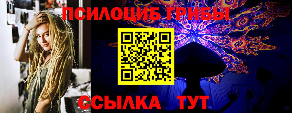 Псилоцибиновые грибы Magic Shrooms  Вход с VPN  где купить наркотик  Курчалой  Псилоцибиновые грибы GOLDEN TEACHER 